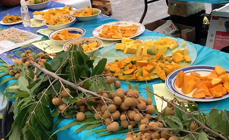 Fruitscapes-Mango-Fest-2018-1